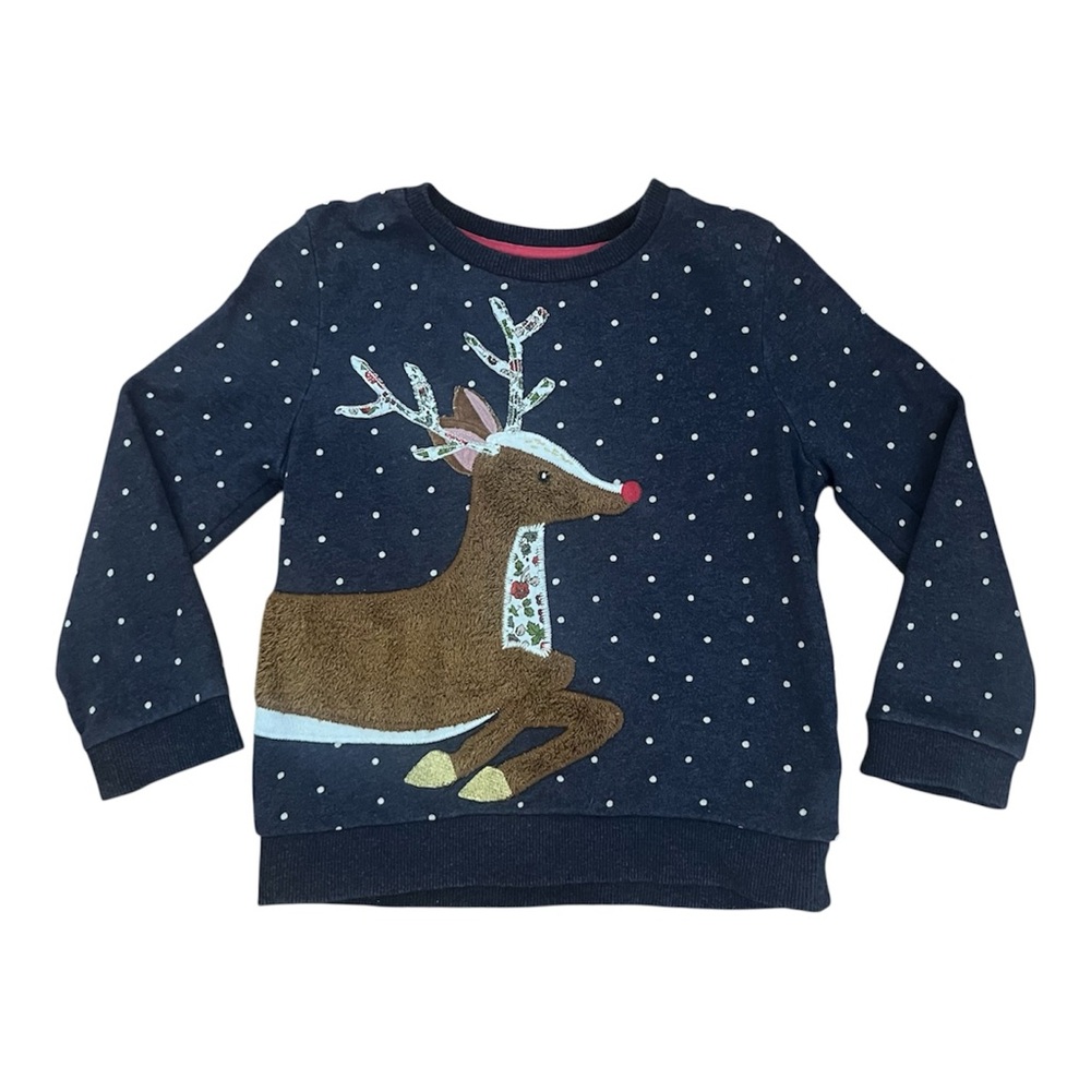 Mini Boden (5|6) Appliqué Sweatshirt